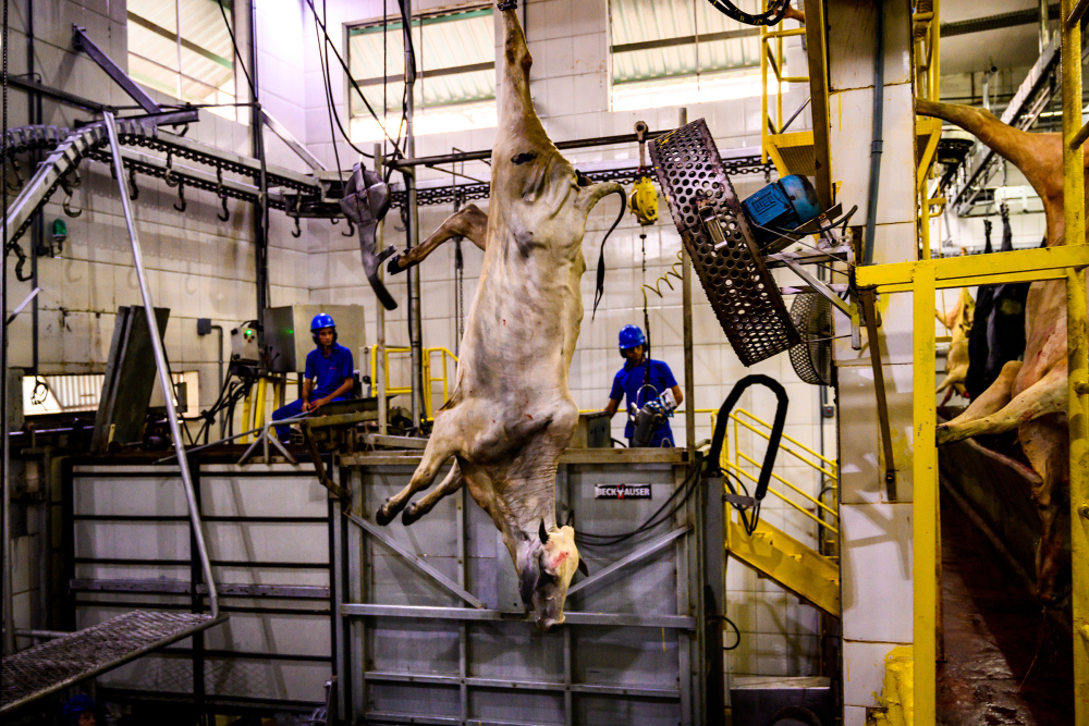 A slaughterhouse in the Brazilian state of RondÃ´nia in February 2019. The company boasted an expansion would allow a cow to be killed every eight seconds at the facility.